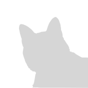 cilo_joko686