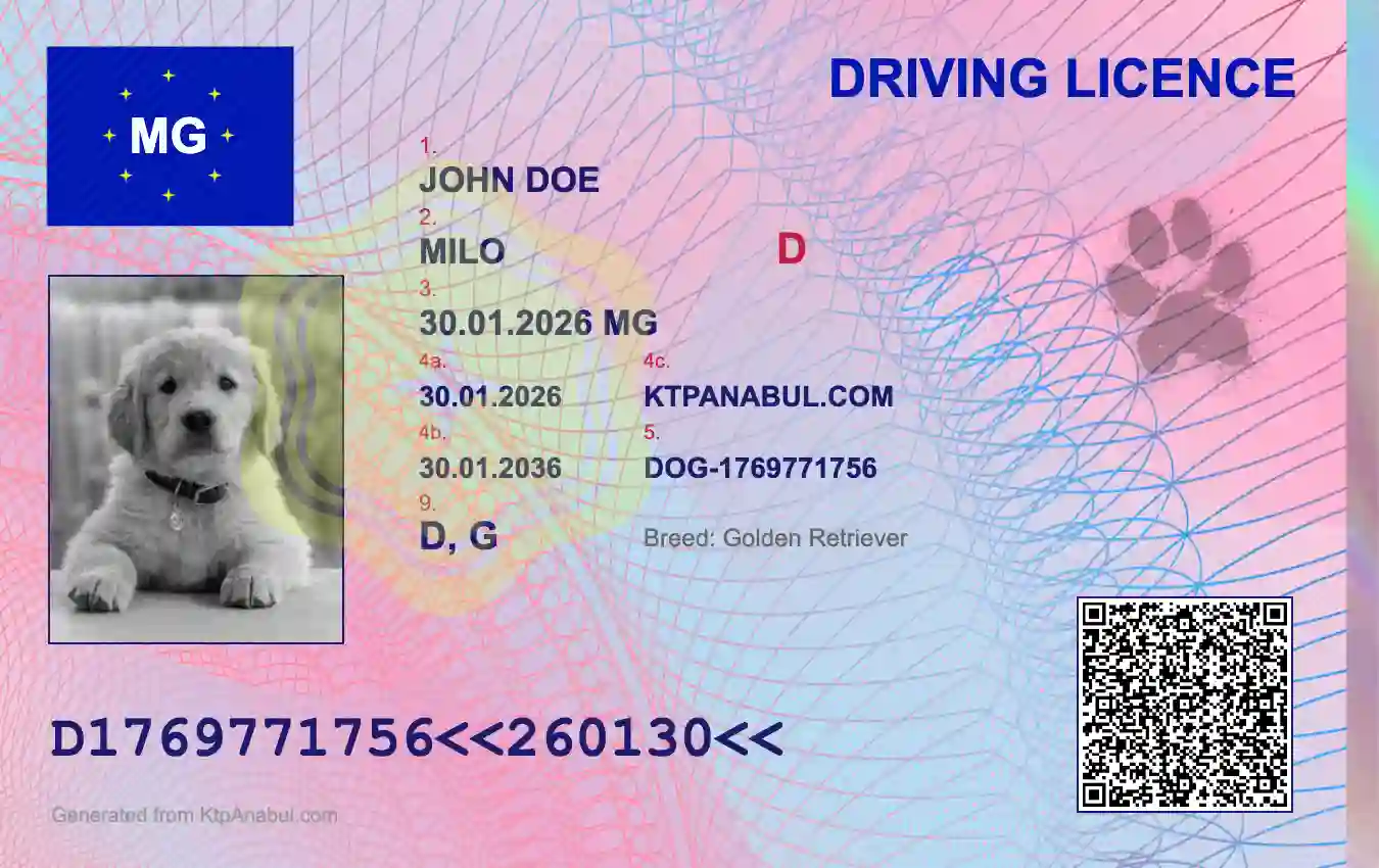 Driving License