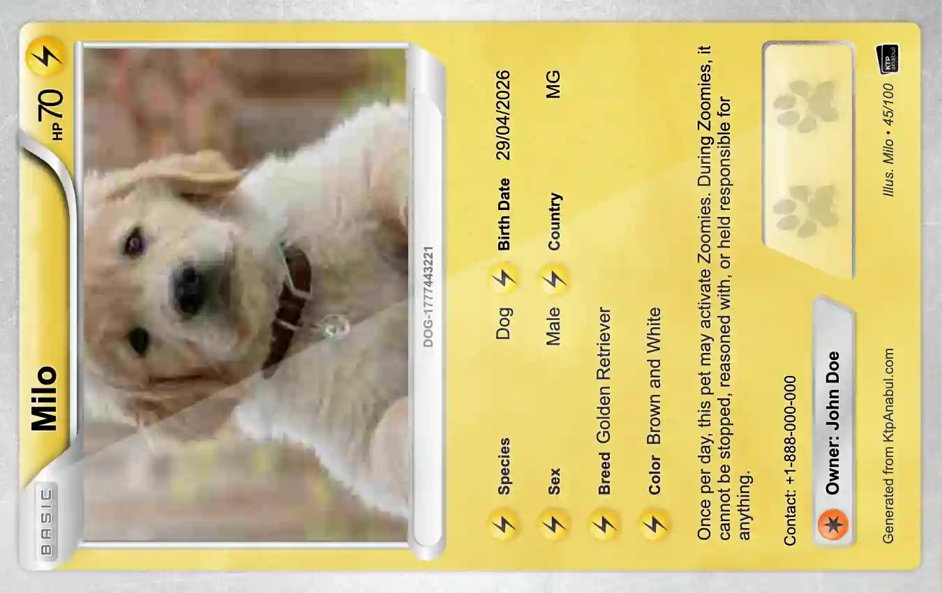 Prévia do cartão de identidade para pet